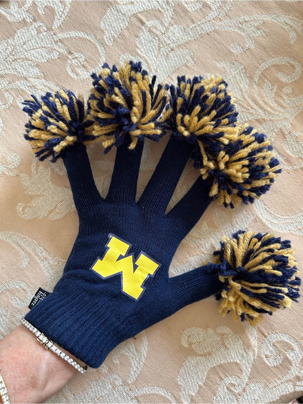 University of Michigan game day essentials - Picture 10 of 15